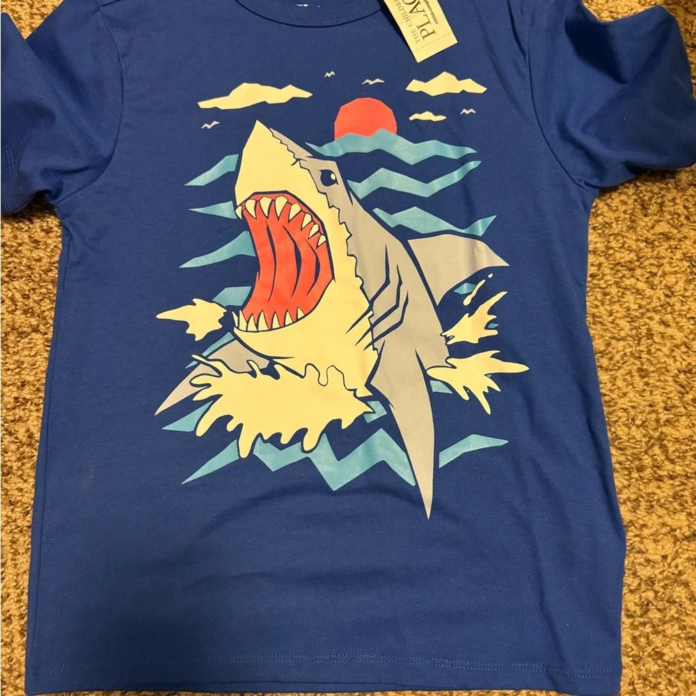The Children's Place Boys Brand New Shirts (3)